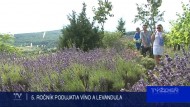 5. ROČNÍK PODUJATIA VÍNO A LEVANDUĽA