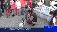 PODUJATIE ZVIERATKÁ V MESTE