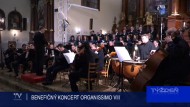 BENEFIČNÝ KONCERT ORGANISSIMO VIII