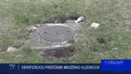 DERATIZÁCIOU PREDÍDEME MNOŽENIU HLODAVCOV 