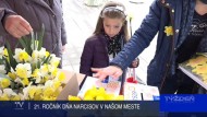 21. ROČNÍK DŇA NARCISOV V NAŠOM MESTE 