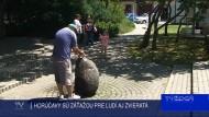 HORÚČAVY SÚ ZÁŤAŽOU PRE ĽUDÍ AJ ZVIERATÁ