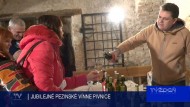 JUBILEJNÉ PEZINSKÉ VÍNNE PIVNICE