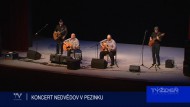 KONCERT NEDVĚDOV V PEZINKU